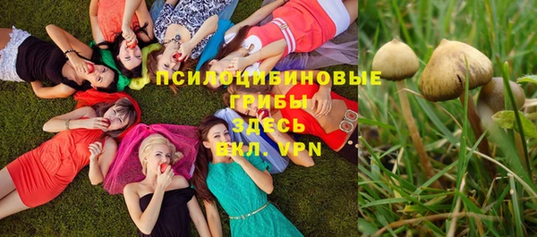 ECSTASY Беломорск