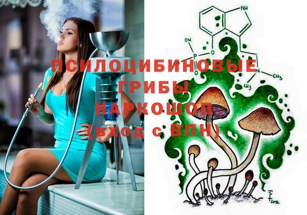 МДПВ Белокуриха