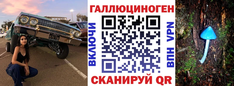 Купить где  Устюжна  Псилоцибиновые грибы мухоморы 